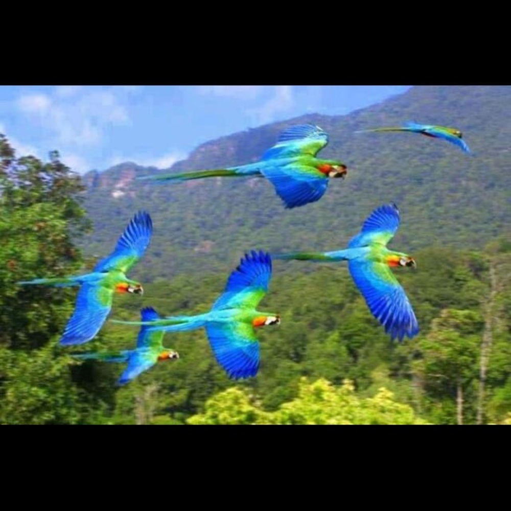 🌎same day or next day shipping